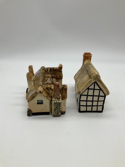 John Putnam Heritage Houses (set of 2) Thatched Cottage and Sir Walter Raleigh's Birthplace